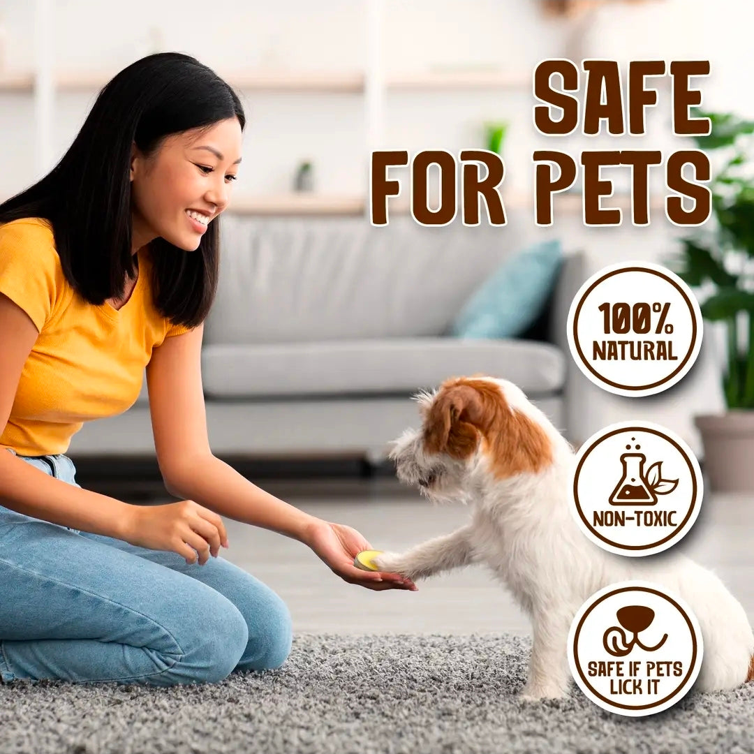 Pet Supplies