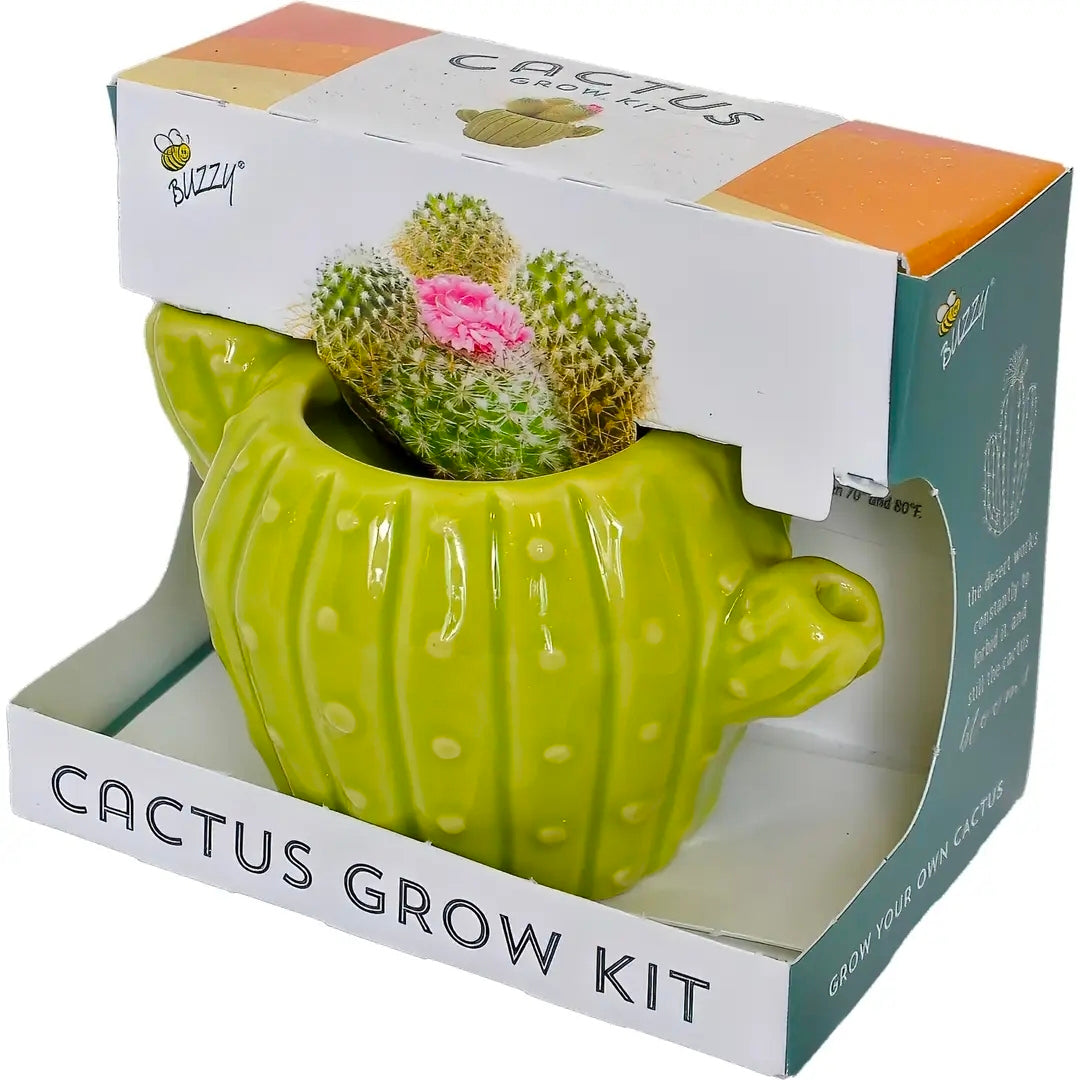 Buzzy Grow Kit: Indoor Cactus