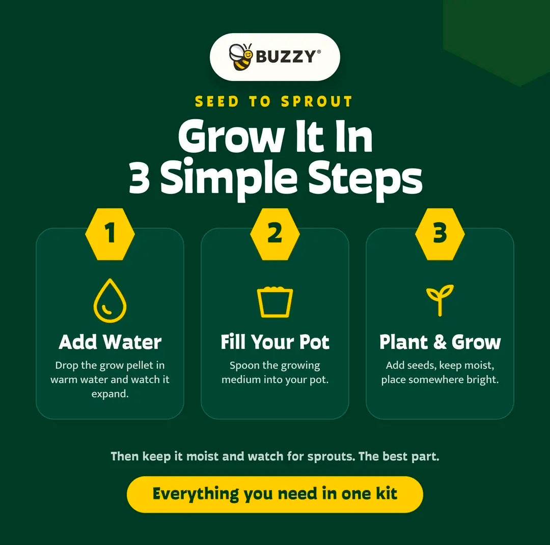 Buzzy Classic Grow Kit, Terracotta Planter: Indoor Peppermint Plant