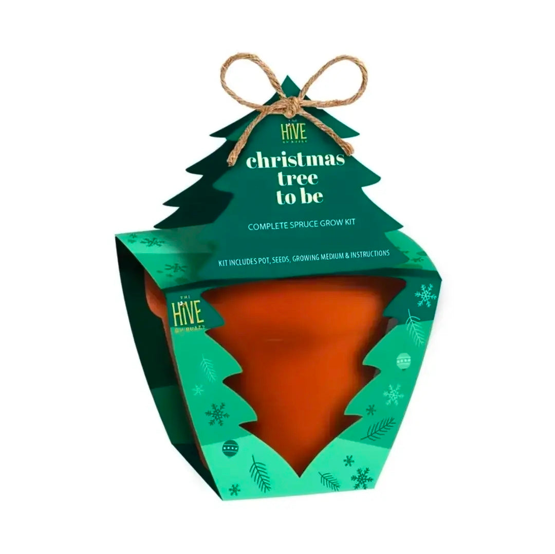 Buzzy Classic Grow Kit, Terracotta Planter: Christmas Tree to Be!