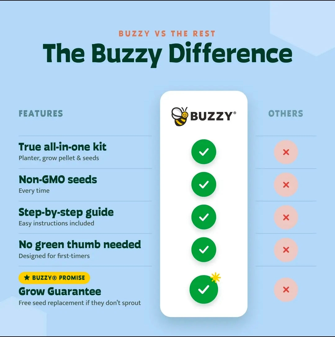 Buzzy Classic Grow Kit, Terracotta Planter: Christmas Tree to Be!