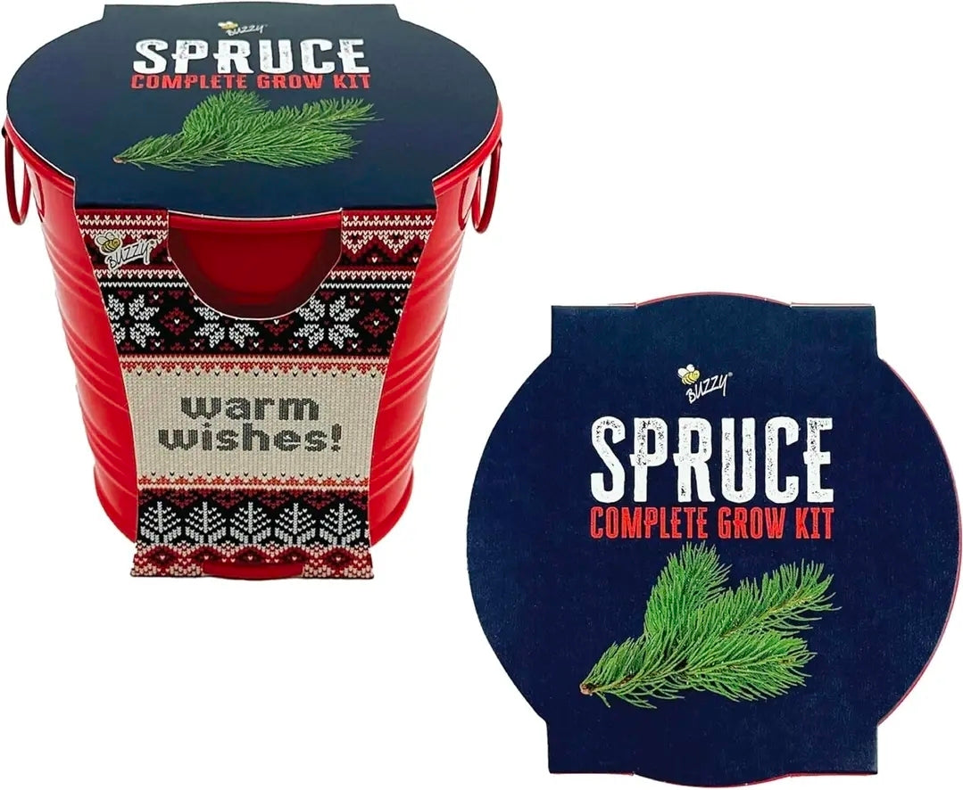 Buzzy Classic Grow Kit, Terracotta Planter: Holiday Spruce Tree to Be!
