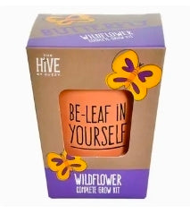 Buzzy Growth Kit: Wildflowers for Spring!