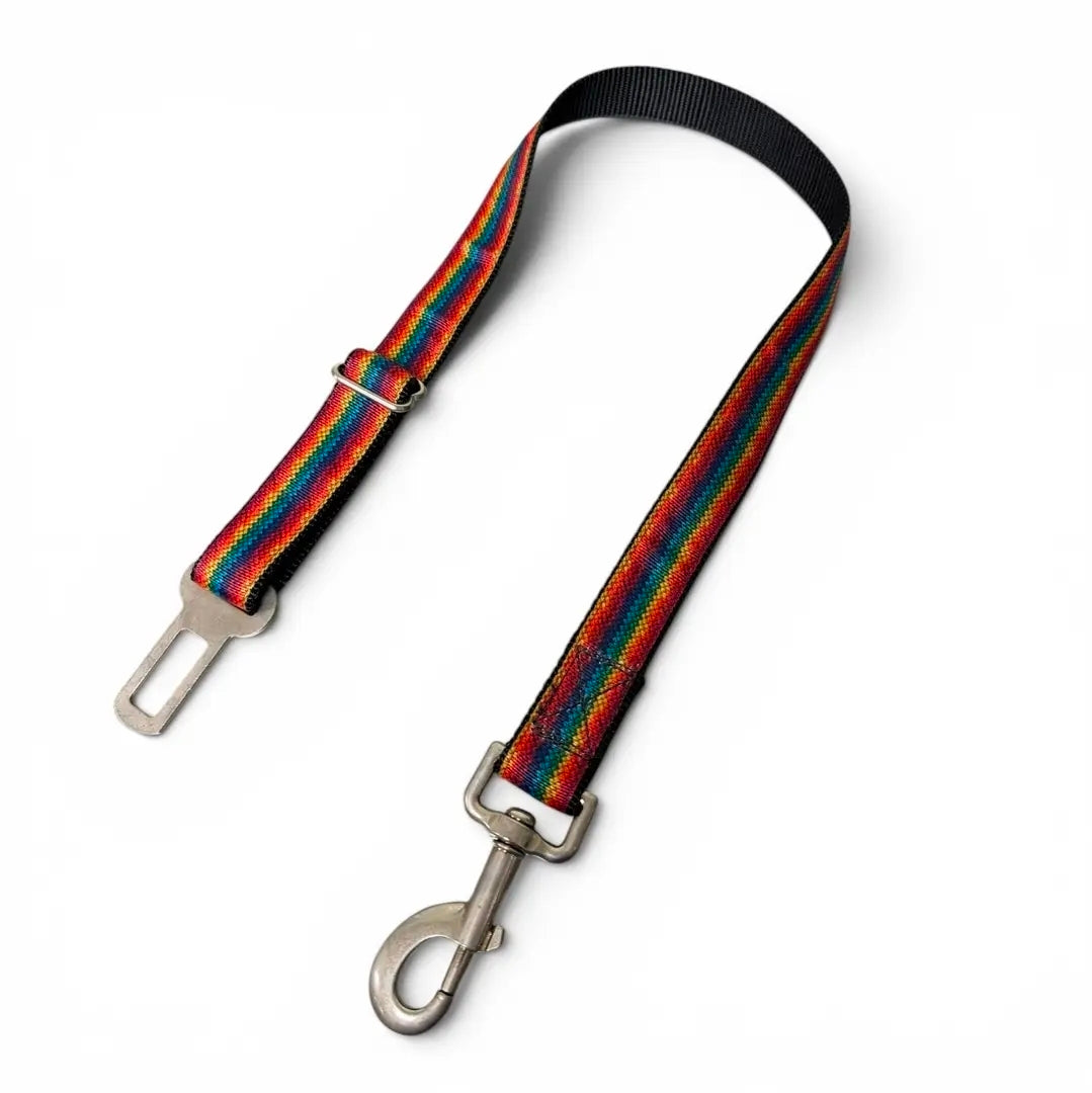Delightfully Happy Dog & Owner Matching Accessories-1970s Rainbow