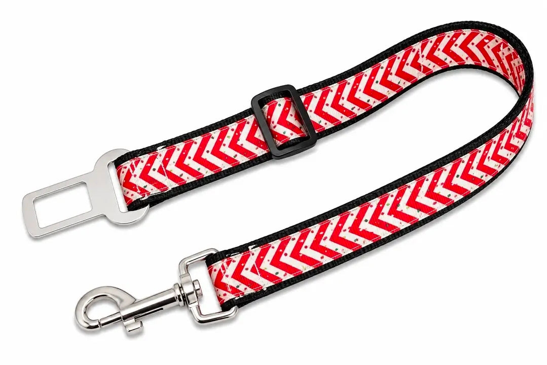 Delightfully Christmas/Birthday Dog & Owner Accessories