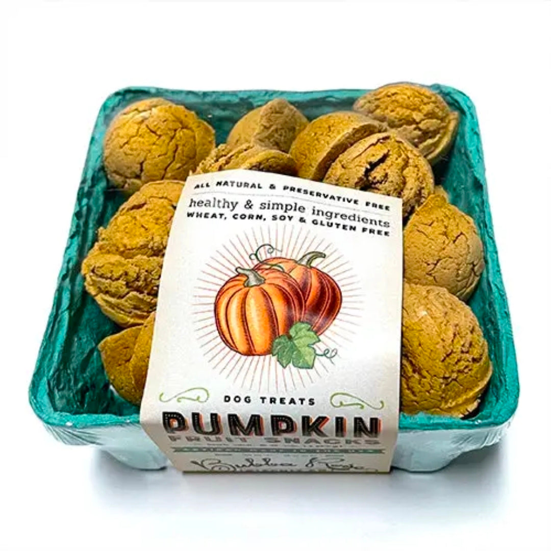 Bubba Rose All Natural Fruit Snacks for Dogs-Pumpkin