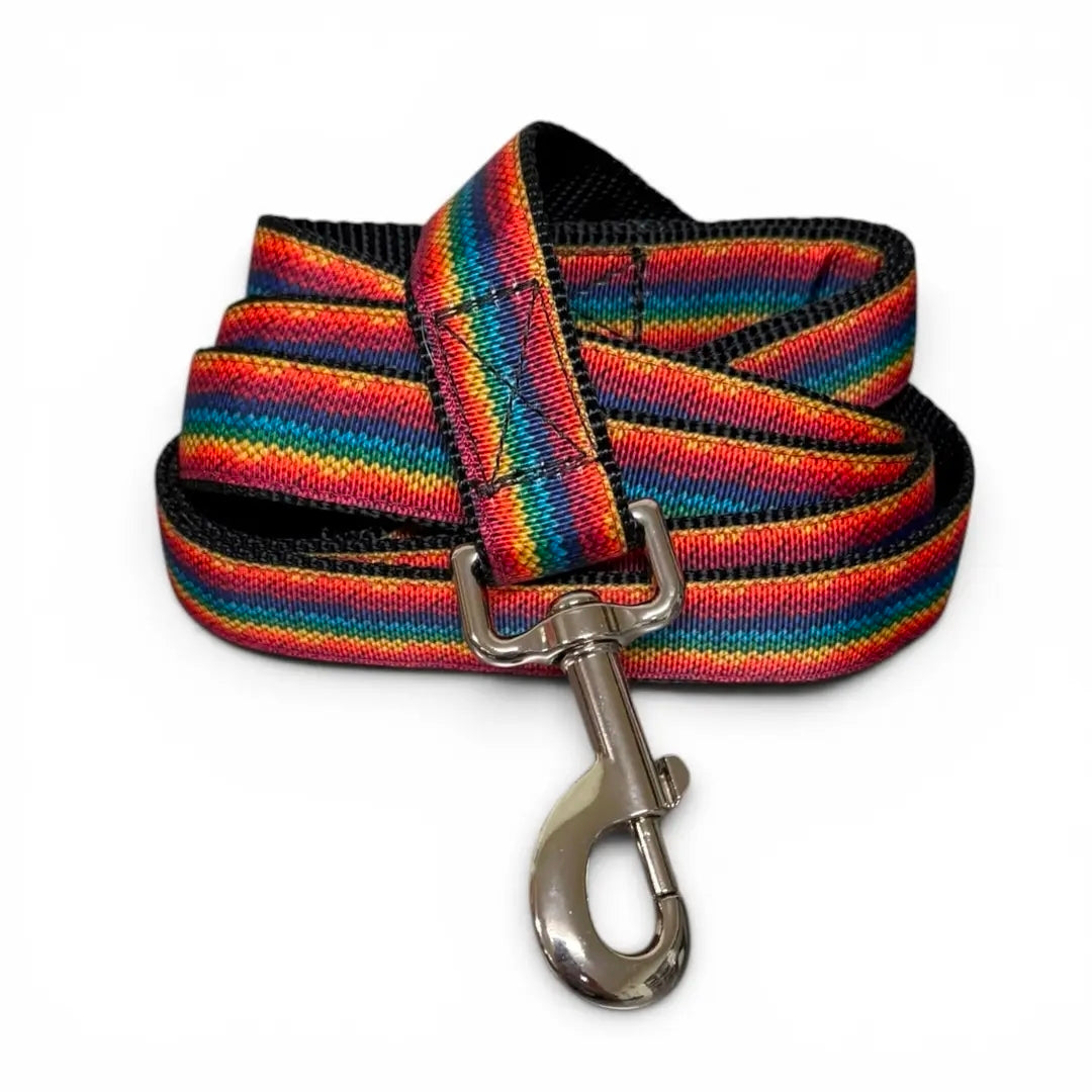 Delightfully Happy Dog & Owner Matching Accessories-1970s Rainbow