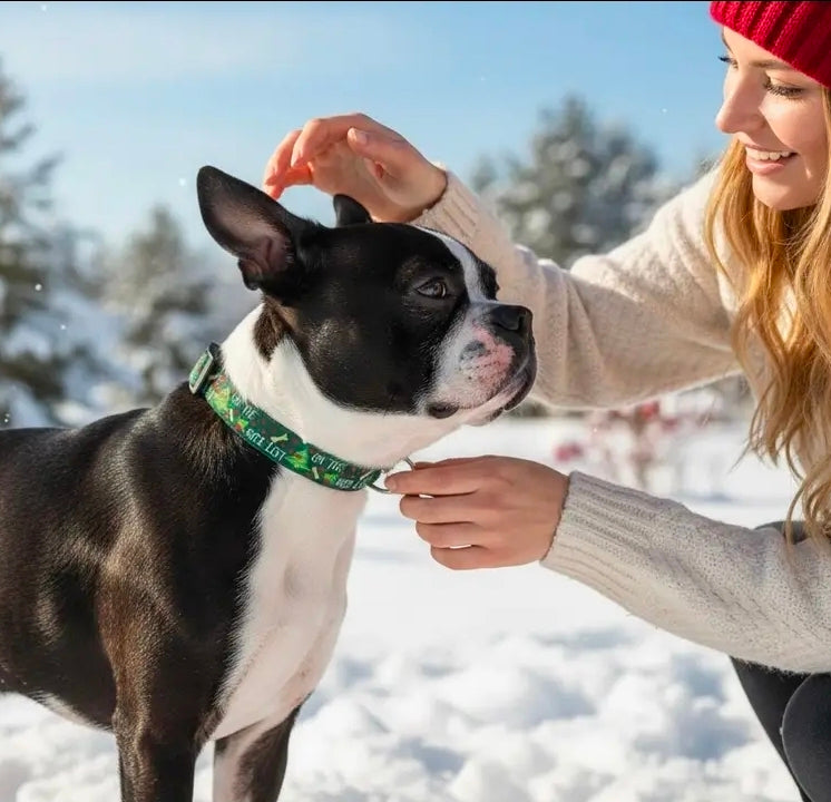 Delightfully On The Nice List Collar, Leash, Seat Belt Tether & Key Chain/Wristlet
